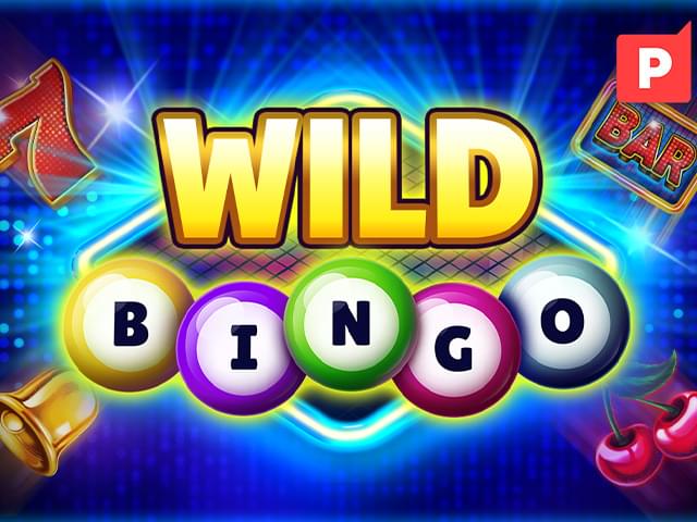 0077 bet Bingo Selvagem
